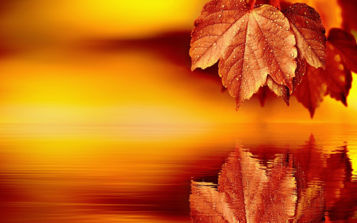 1353629 (a): :1920x1200